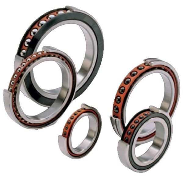 Süper Hassas Makaralı Rulmanlar